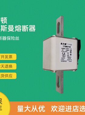全新快速熔断器保险170M5016 170M5017 170M5018 170M5058