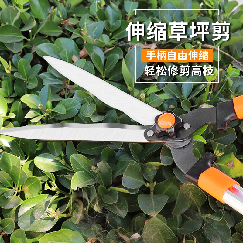 伸缩园艺大剪刀草坪绿篱园林绿化剪苗木绿篱剪园林绿化花园大剪刀