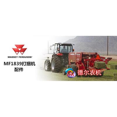 爱科 麦赛福格森1839 打捆机配件 捆草机配件 链轮轴承203KRR2