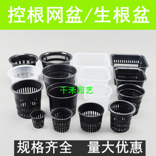 塑料控根透气网盆 蝴蝶兰石斛卡特兰气生多孔吊兰花盆 水培定植篮