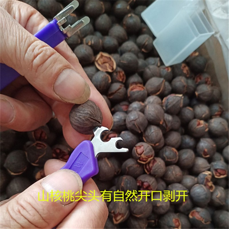 今年新山核桃夹子 临安核桃钳子脱壳王一套工具非手剥坚果 一把
