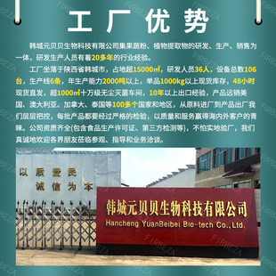 SC实力工厂钝顶螺旋藻片现货原料螺旋藻提取物食品级螺旋藻片包邮