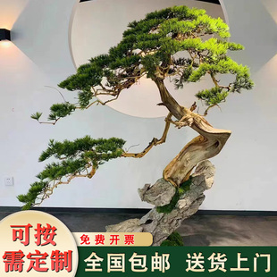 仿真松树迎客松罗汉松造景大型美人松树玄关酒店室内装饰假树摆件