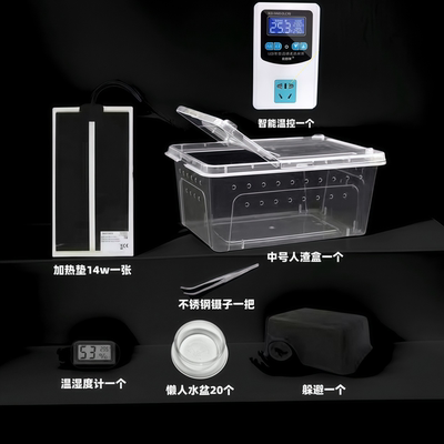 新手饲养玉米蛇牛蛇王蛇套装
