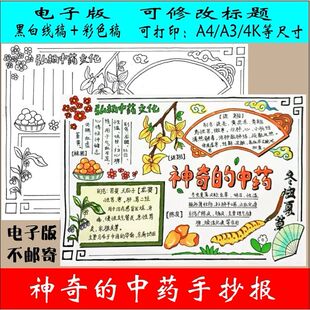 中草药手抄报神奇的电子版模板小学生介绍中医药文化小报线稿a3a4