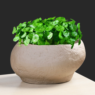 水仙花铜钱草水培花盆水养的仿石头盆景碗莲睡莲个性创意陶瓷无孔