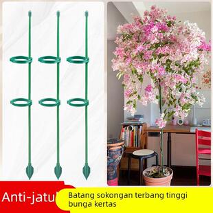 三角梅高飘支撑杆爬藤架花架固定器龟背竹绿植物防倒伏花卉支撑架