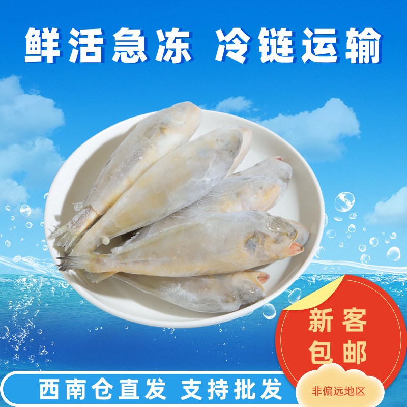 烧烤黄花鱼活冻海鲜整鱼舟山小黄鱼过年送礼礼品盒装量大从优