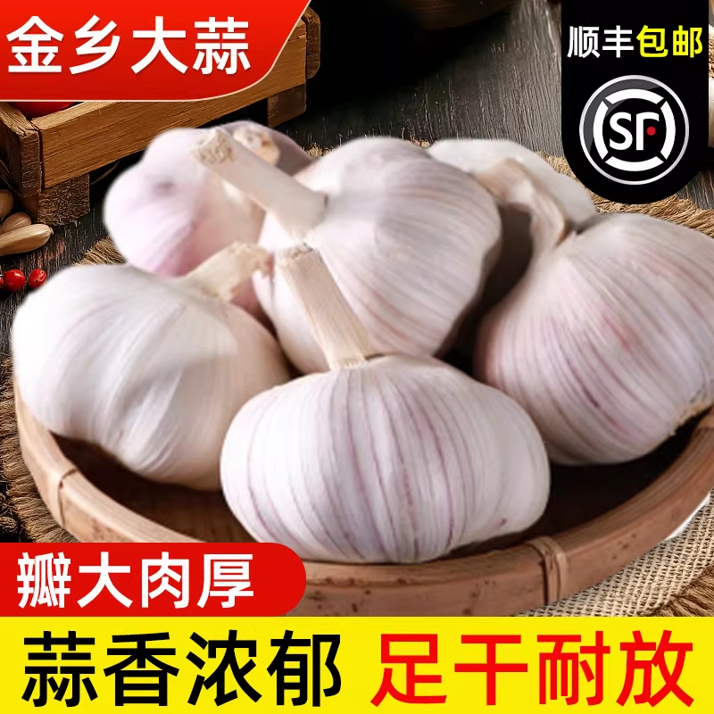 山东金乡大蒜头干蒜2025年