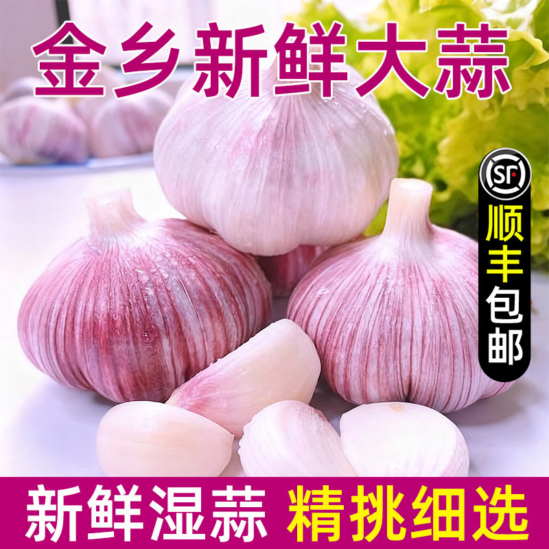 金乡当季现挖新鲜大蒜头顺丰包邮