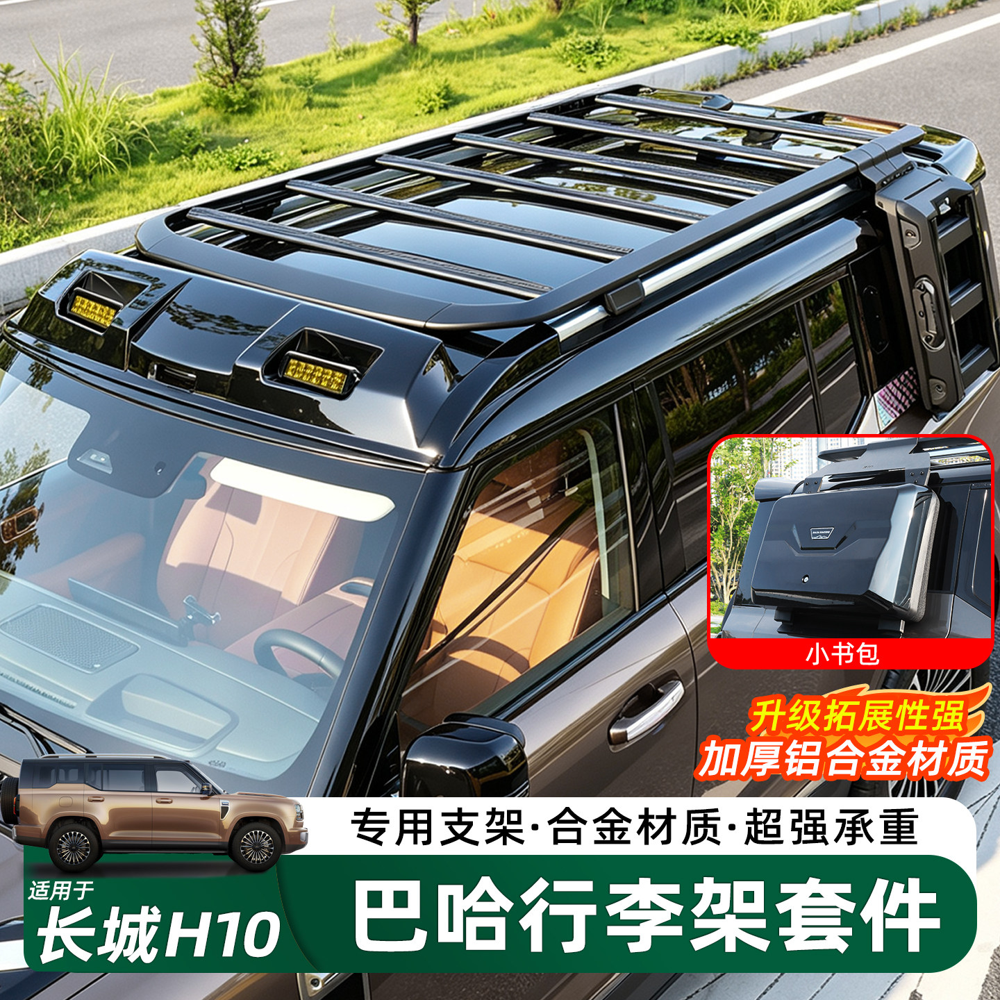 哈弗长城H10巴哈车顶行李架爬梯
