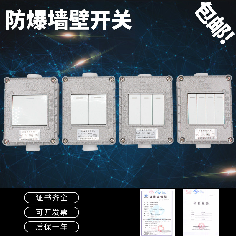 防爆开关防爆墙壁开关220V10A单开双开双控翘板开关20A380V暗装2C