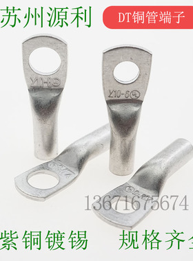 苏州源利YL DT2.5-4 4-5 6-6 10-8电缆紫铜管端子 堵油铜鼻子镀锡