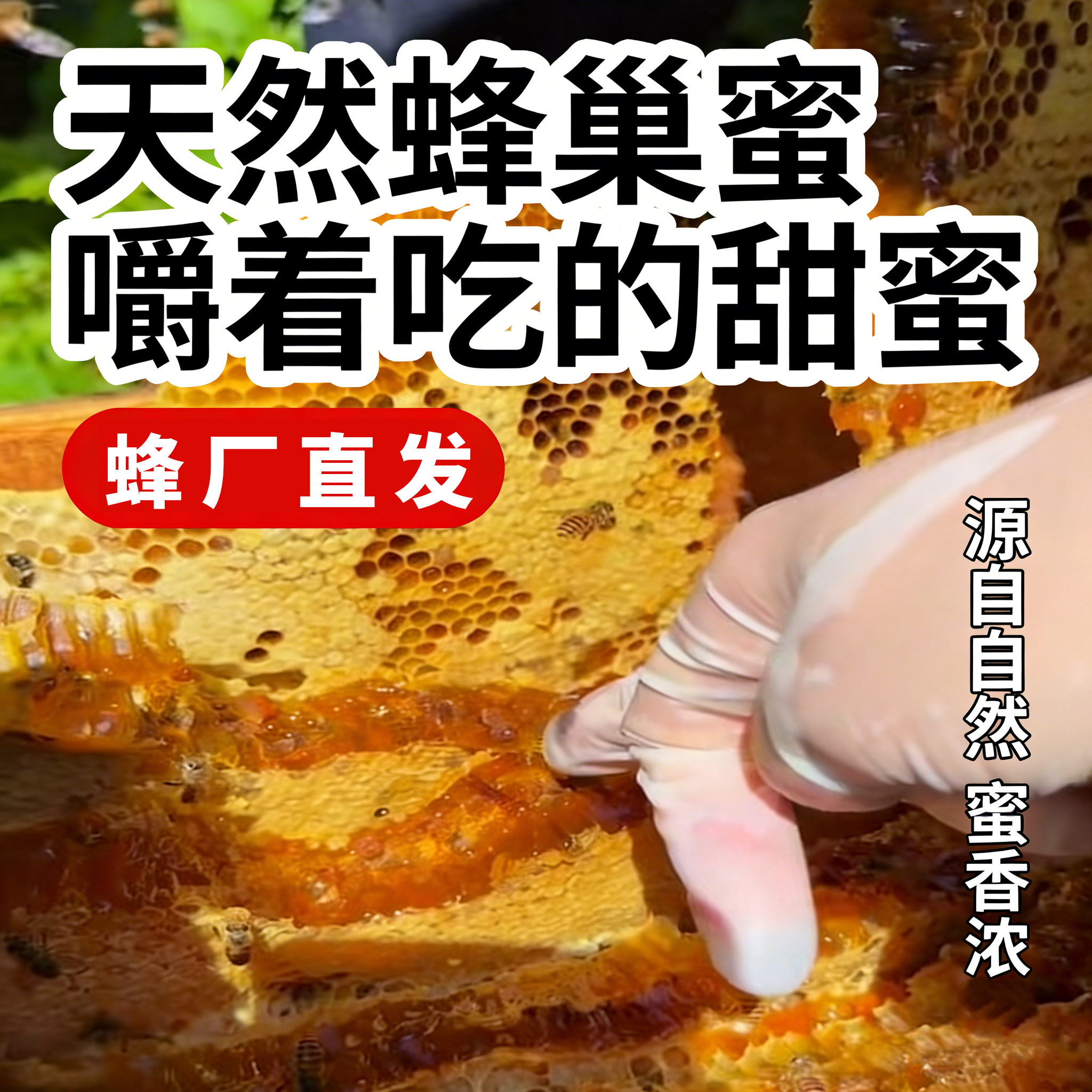 蜂巢蜜嚼着吃纯正天然农家蜂巢正宗土蜂蜜自产蜂窝野生白荆条蜜