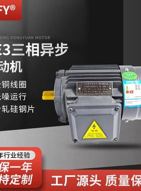 三相异步电动机厂家YE3-200L-8极交流电机15W380V全铜马达