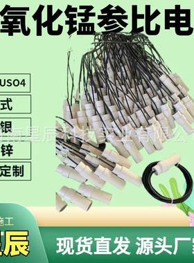 管道二氧化锰极化探头MnO2混凝土固态参比电极测量探头PCCP