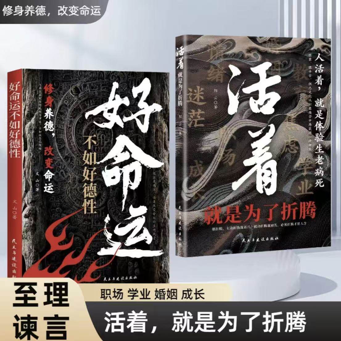 活着就是为了折腾+好命运不如好德行 修身养德改变命运与其羡慕别人的成功与幸运不如从自己做起改变命运的至理箴言