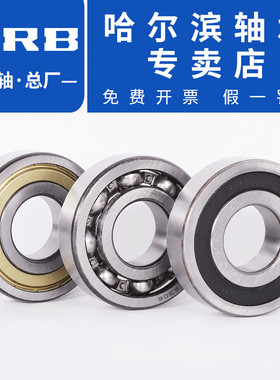 HRB 哈尔滨轴承 16001 16002 16003 16004 16005 16006 16007  ZZ