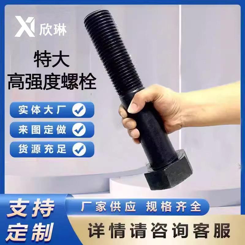 厂家定制/特大外六角螺栓/高强度加长螺丝/定制做各种螺杆螺栓图片