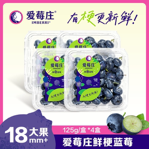 爱莓庄精选大果云南高山蓝莓18mm125g*4盒