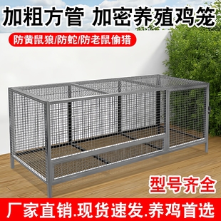 加粗方管加密养殖鸡笼防黄鼠狼防蛇防老鼠偷猎厂家直销现货速发