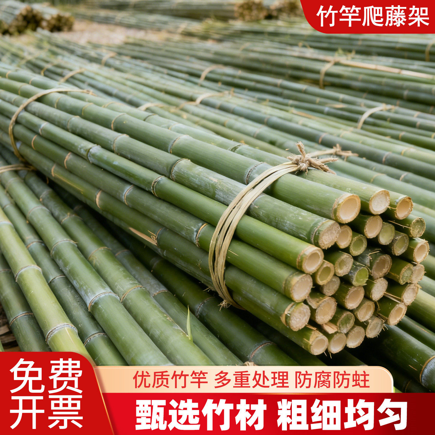 竹竿菜园搭架蔬菜黄瓜豆角架杆竹篱笆栅栏小竹子细竹竿爬藤架庭院