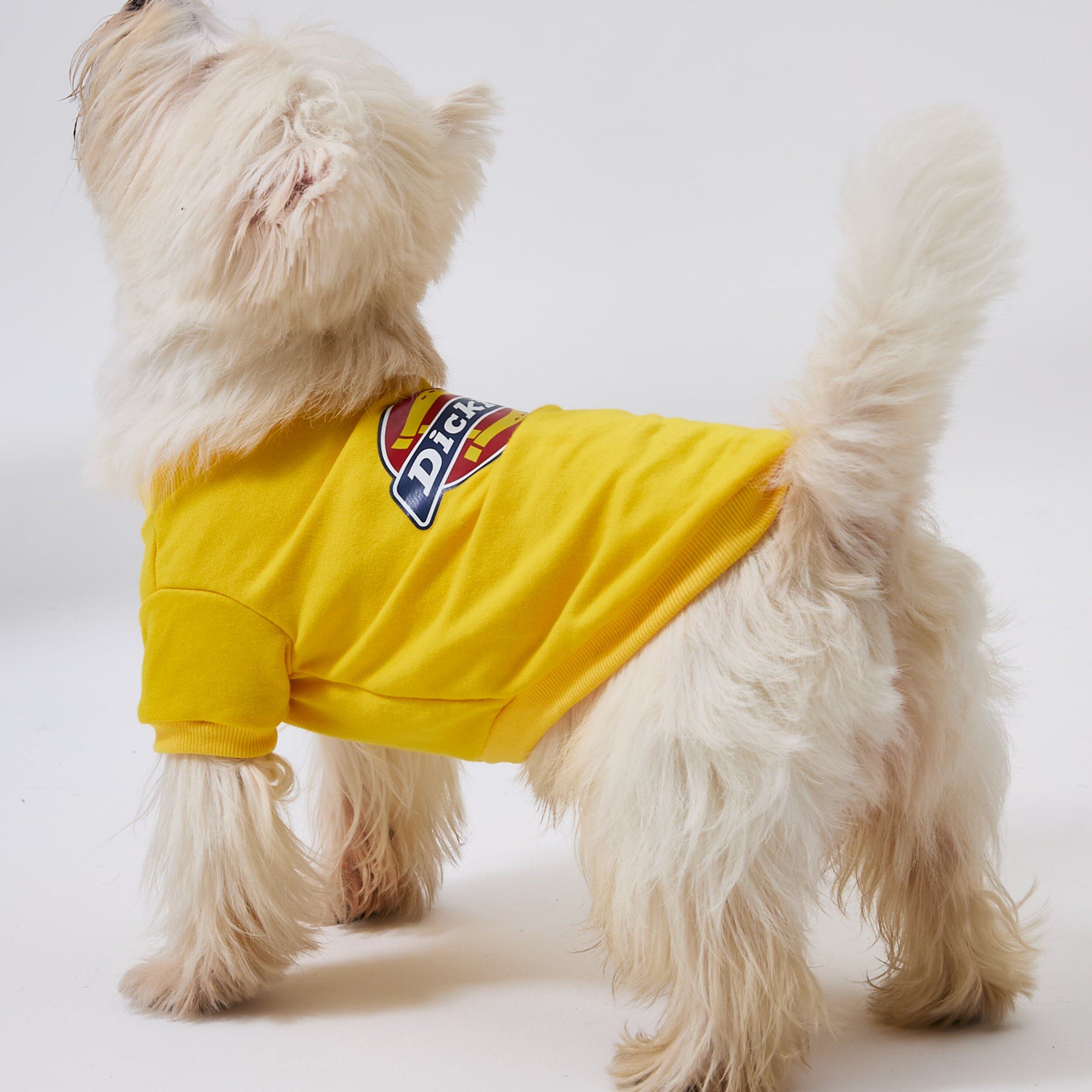 GENTRYPET狗狗卫衣春秋狗宠物服装/雨衣