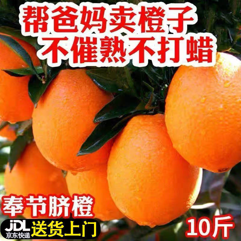 重庆奉节纽荷尔脐橙正宗10橙子大果当季新鲜水果整箱包邮产地直发