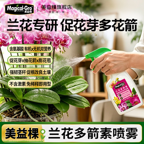 美益棵兰花多箭素花园装
