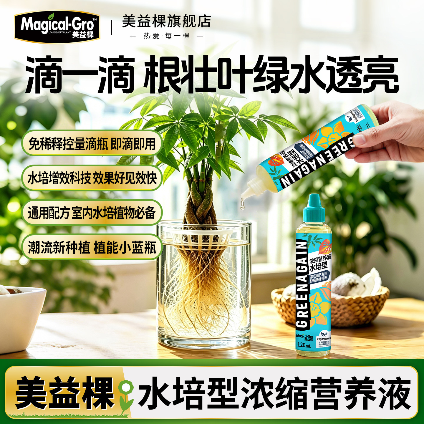 美益棵水培植物专用营养液富贵竹转运竹巴西木绿萝铜钱草通用肥料