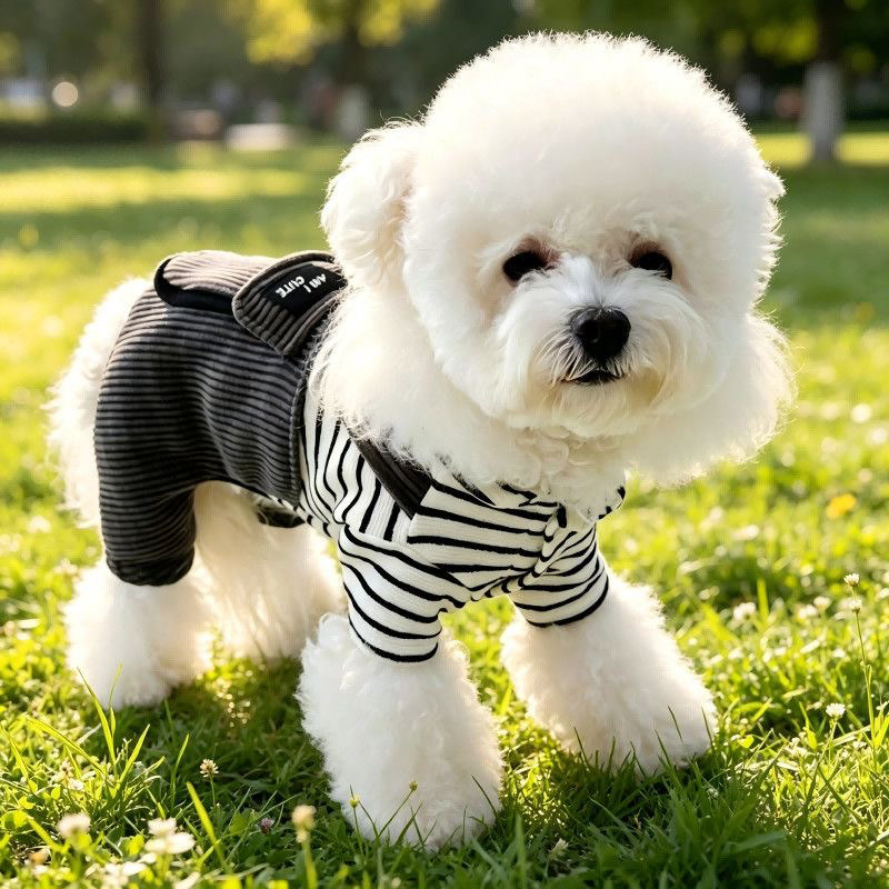 春秋冬加厚灯芯绒宠物衣服泰迪比熊中小型犬四脚衣狗狗保暖防风衣
