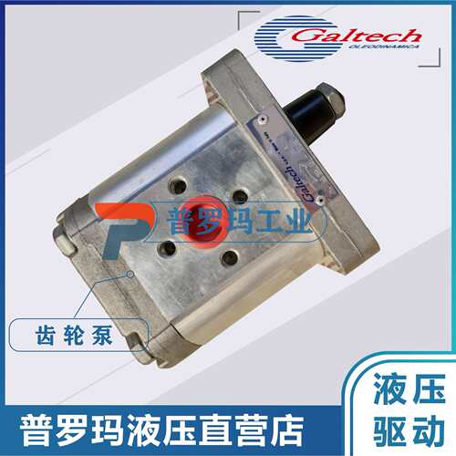 意大利进口Galtech齿轮泵1SP-A-020-D-EUR-B-N-10-0-G 高泰克油泵