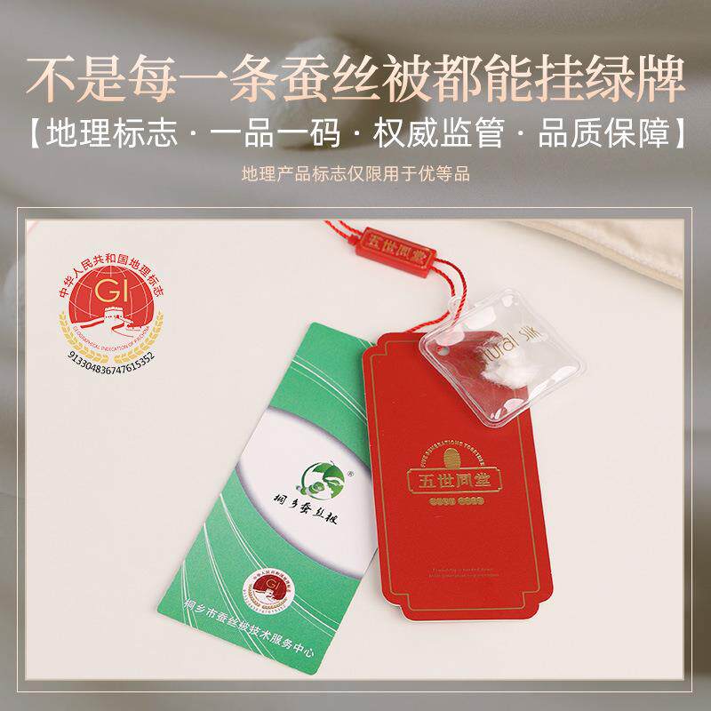 五世同堂鲜茧双宫桑蚕丝被芯春蚕茧结婚庆子母被A类蚕丝被 新品