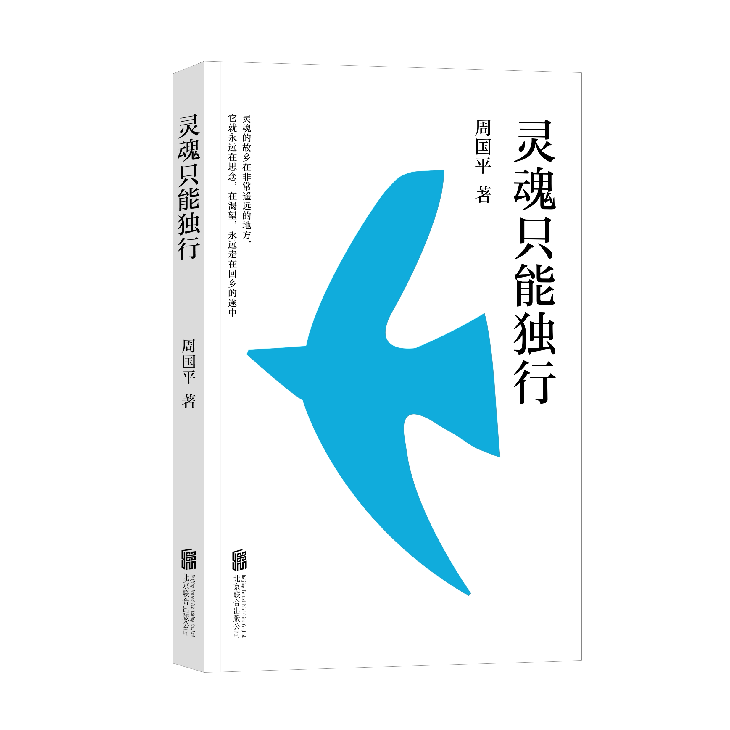 灵魂只能独行 周国平 散文精选集 开启对生命本质的思考 找回内心的力量 哲学 文学 果麦出品