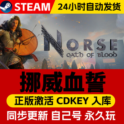 Steam正版挪威血誓激活码cdk全DLC激活入库国区全球区NORSE: Oath of Blood电脑PC中文游戏