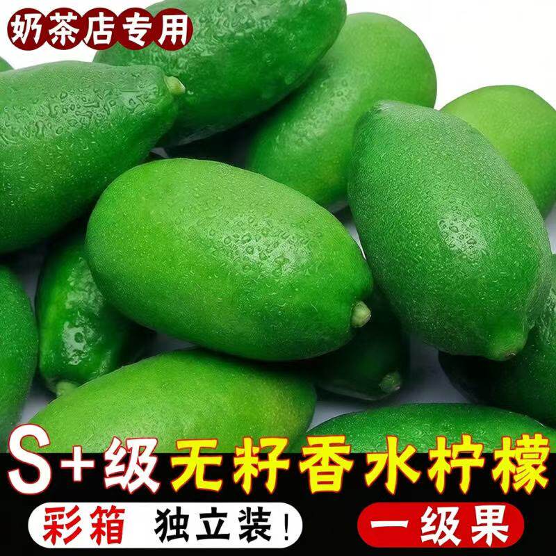 广东香水柠檬新鲜正宗青柠檬无籽大果一级果应当季水果奶茶店专用