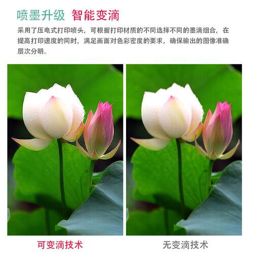 A3尺寸 小型UV平板打印机 高速打印操作简单不用制版即打即干