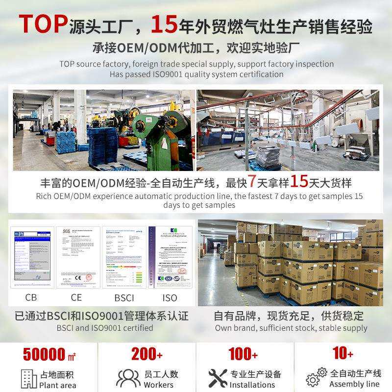 奥风 跨境欧规220V电烤箱 多功能30L外贸烤箱烘焙专用 oven