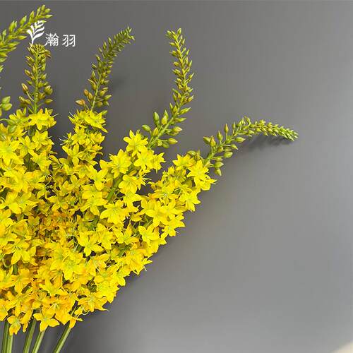 工厂直销狐尾花绢布假花仿真花婚礼软装花艺飞燕草装饰跨境