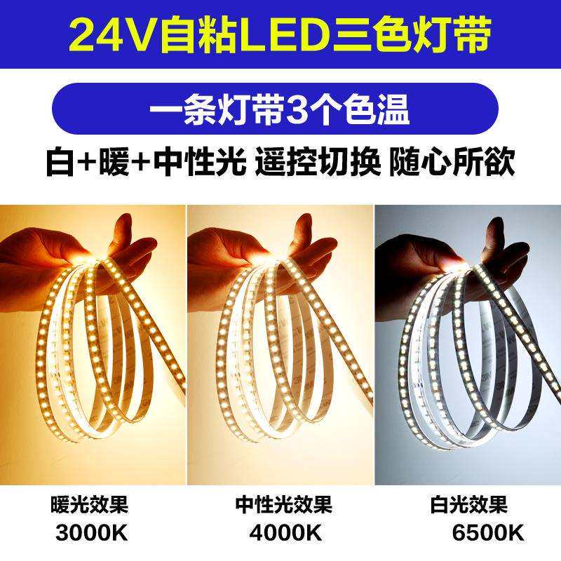 低压24V灯带led三色变色家用柜台装饰双色调光软灯条超亮霓虹灯线