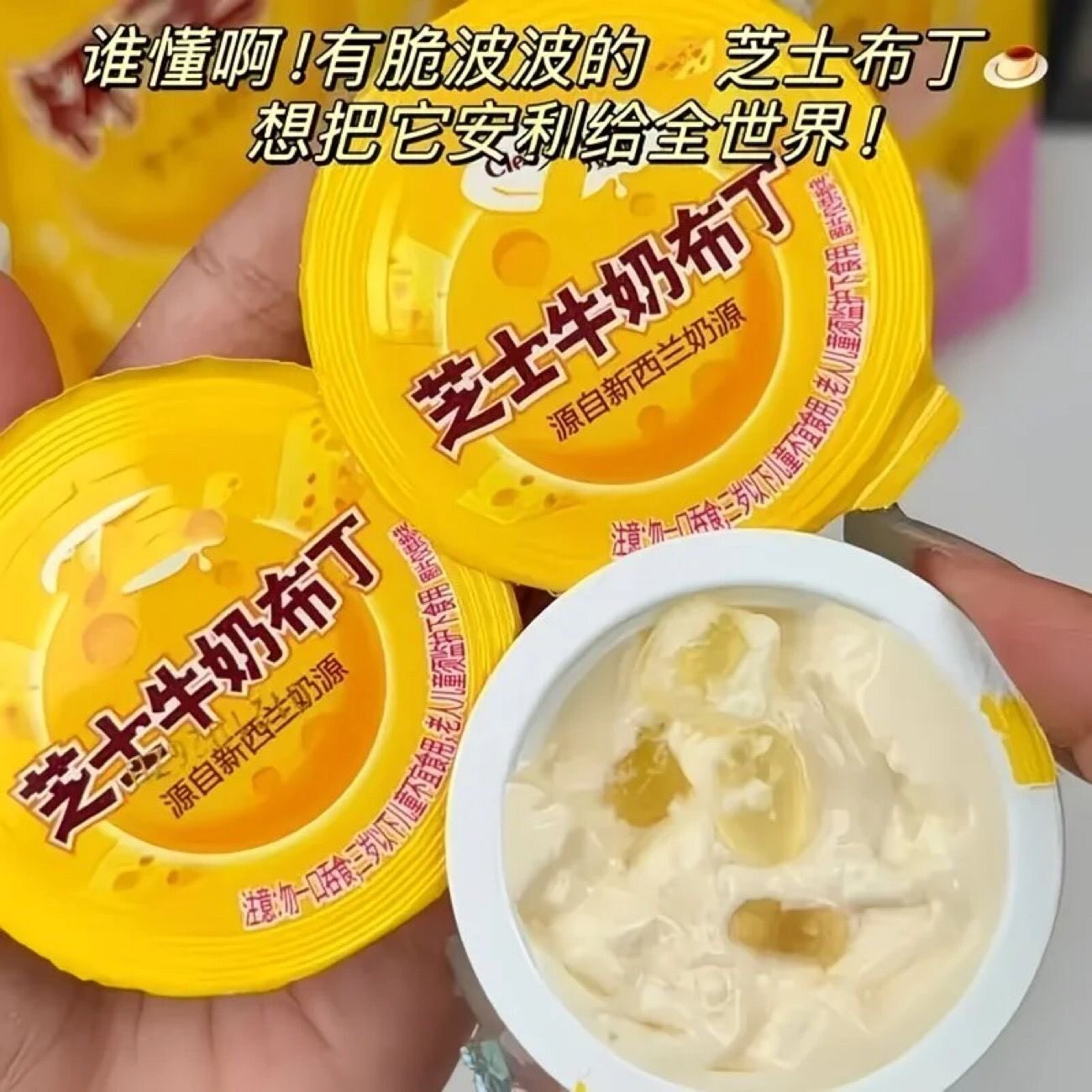 特价抢】芝士牛奶布丁啵啵奶酪布丁果冻网红休闲小解馋零食下午茶