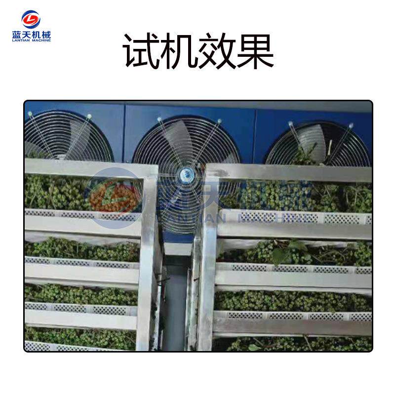 全自动吴茱萸烘干机 臭辣子茶辣烘干箱 小型商用山茱萸烘干机设备