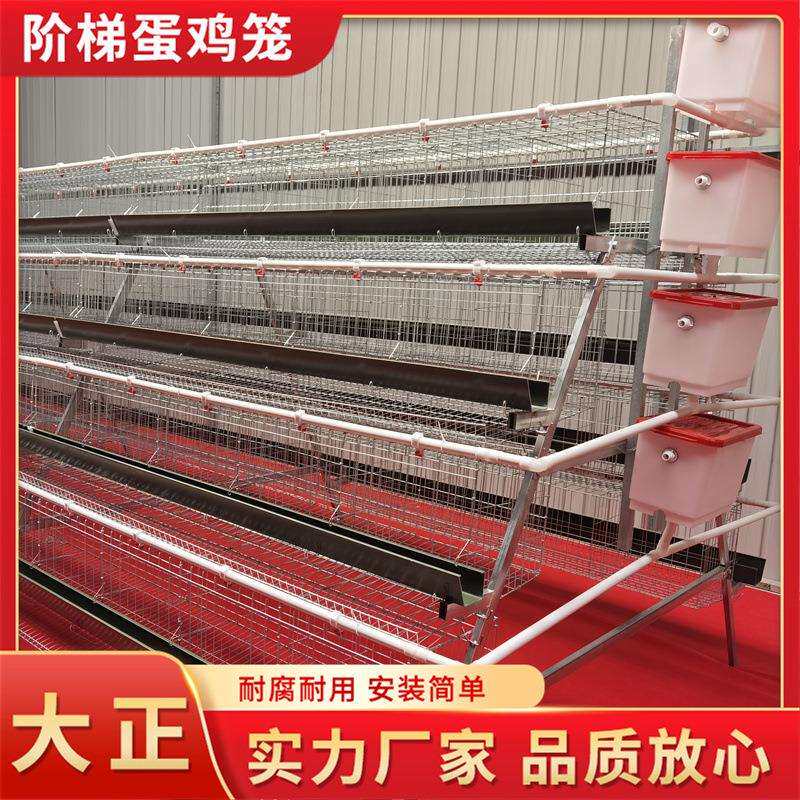 阶梯蛋鸡笼全自动 养殖场蛋鸡笼子 热镀锌鸡笼肉鸡笼 蛋鸡养殖笼