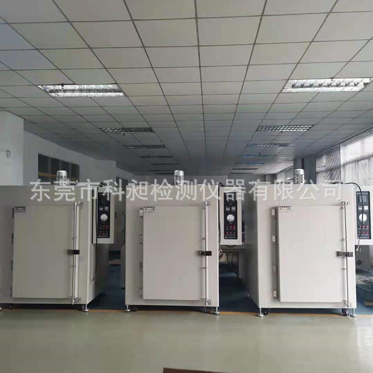 广东产无尘电子干燥箱 电热鼓风洁净烘烤箱 真空无尘烘箱电烤箱