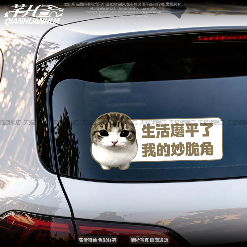 可爱猫咪搞笑文字车窗玻璃贴