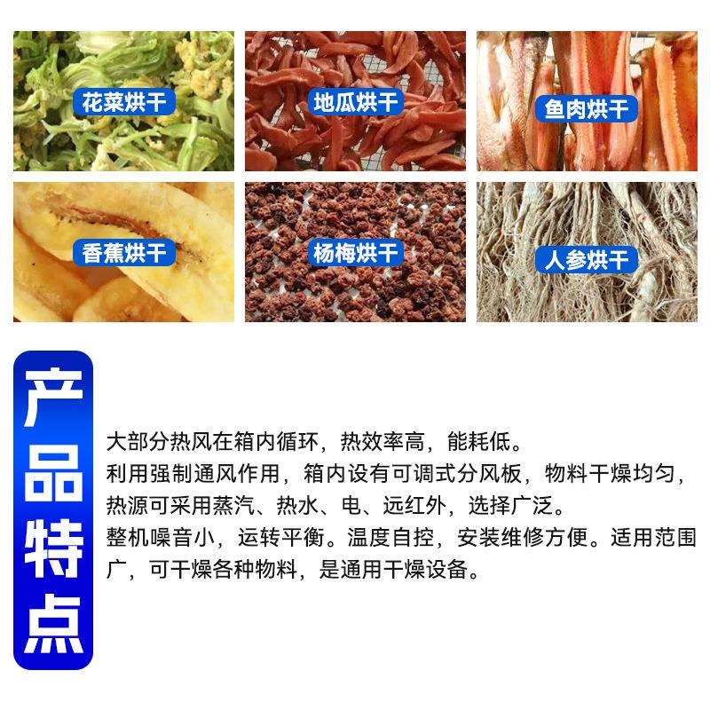 现货供应蓝莓果烘干机 东北黑热风循环烘箱食品农产品干燥箱