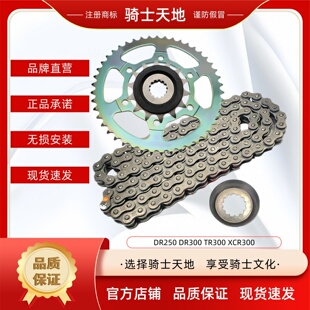 豪爵DR250 DR TR300 XCR300链条链盘套链链轮盖油封定位套缓冲胶
