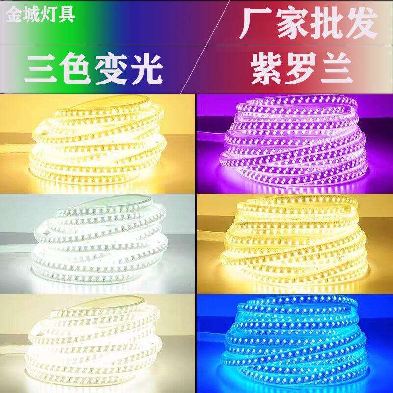 LED灯带5730单色高压家用双排户外防水客厅装修白光暖光蓝红绿粉