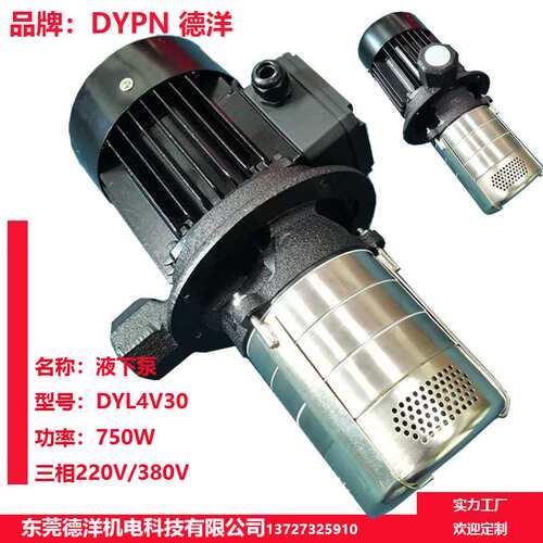 DYL4V40 220V 卧式不锈钢低温冷冻循环泵 冷却泵 离心式离心泵