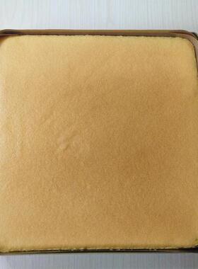 歌瑞特金色不沾烤盘家用28*28cm小古早长方形加40*30蛋糕卷模具